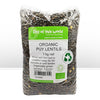 Organic Puy Lentils
